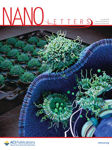nanopackaging nano letters